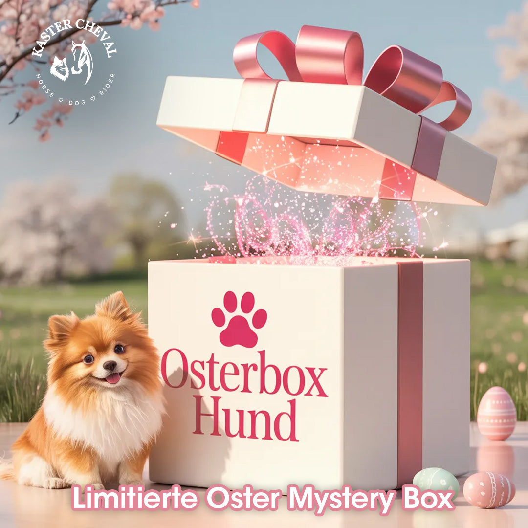 🐣 Osterbox Hund – Limitierte Frühlings-Mystery-Box (Vorbestellung) - Kaster Cheval