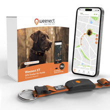 Weenect XT - GPS Tracker für Hunde - Kaster Cheval