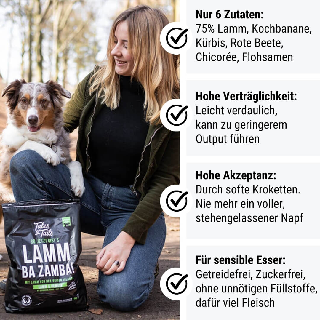 Tales & Tails LammBa Zamba!
