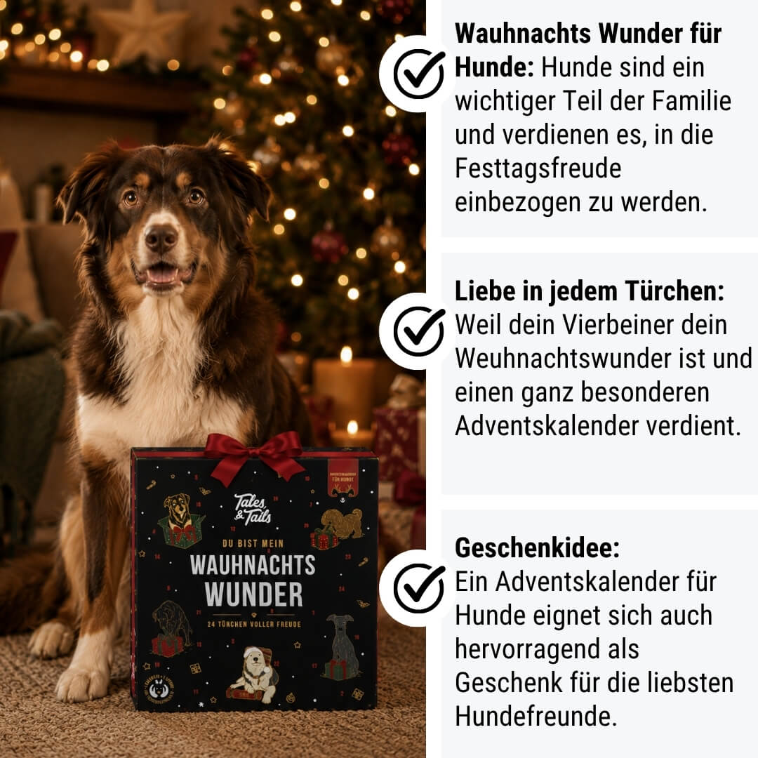 Tales & Tales Wauhnachts-Wunder - Adventskalender