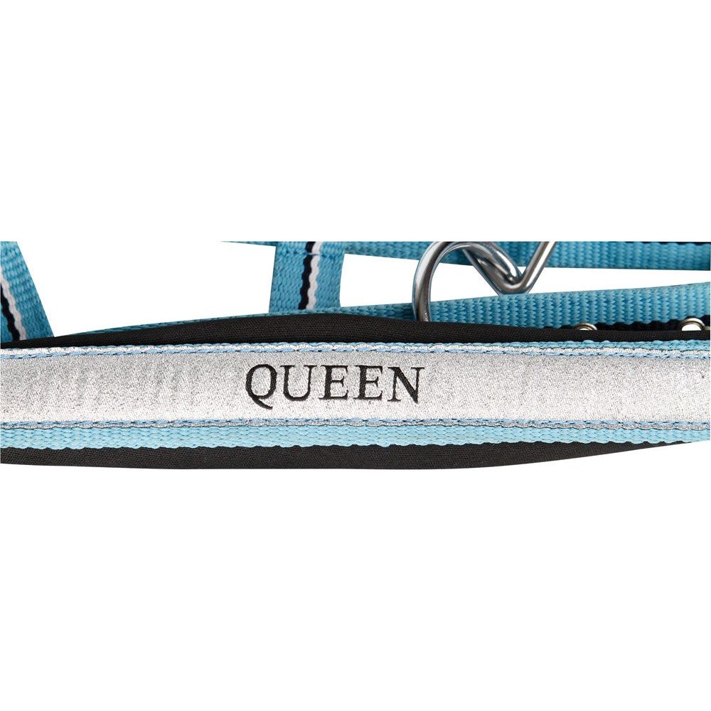 Light Gray Halfterset Queen