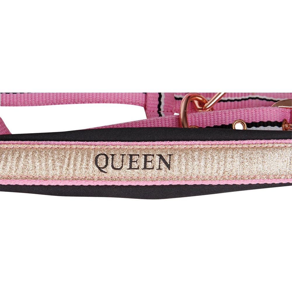 Rosy Brown Halfterset Queen