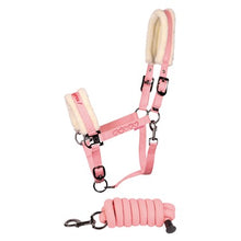 Harry's Horse Halfterset Love