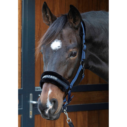Harry's Horse Halfter Lyrics Quotes