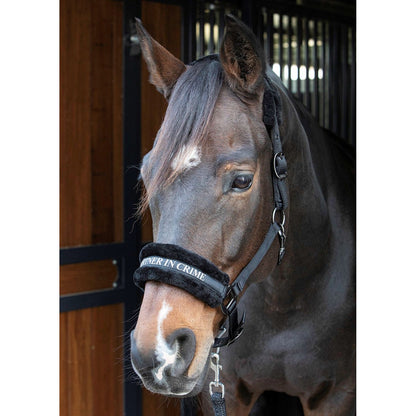 Harry's Horse Halfter Lyrics Quotes