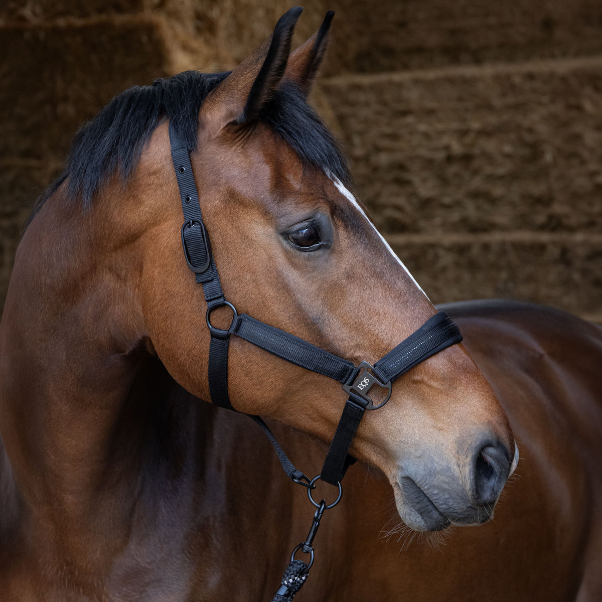 Harry's Horse Halfterset Black Edition