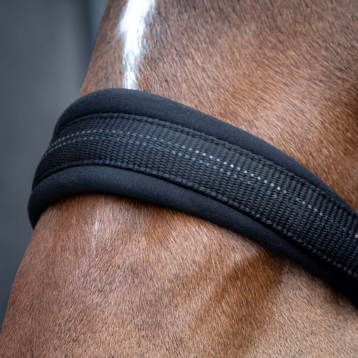 Harry's Horse Halfterset Black Edition