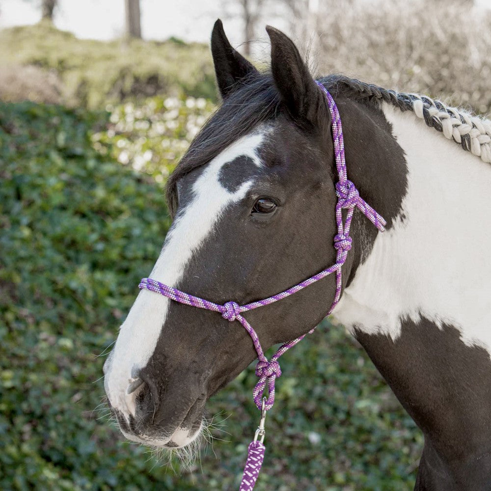 Dark Slate Gray Harry’s Horse Knotenhalfter