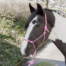 Gray Harry’s Horse Knotenhalfter