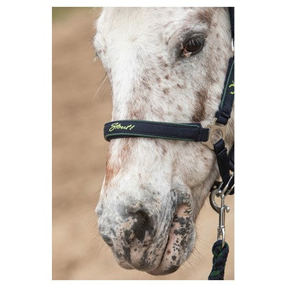 Harry's Horse Halfterset STOUT! Lime