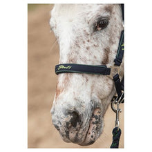 Harry's Horse Halfterset STOUT! Lime