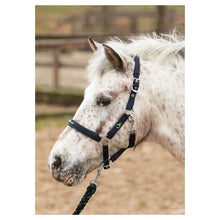 Harry's Horse Halfterset STOUT! Lime
