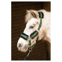 Harry's Horse Halfterset Soft STOUT! Lime