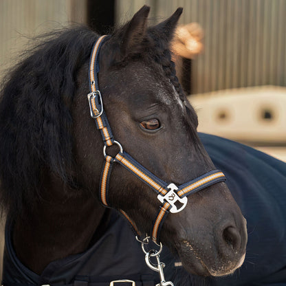 Harry's Horse Halfterset STOUT! Maverick WS26