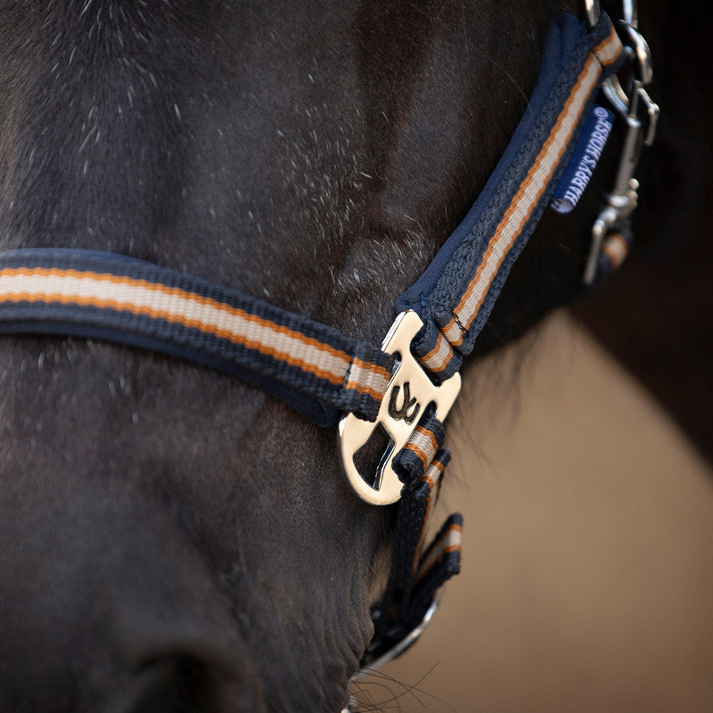 Harry's Horse Halfterset STOUT! Maverick WS26