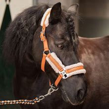 Harry's Horse Halfterset Soft STOUT! Maverick WS26