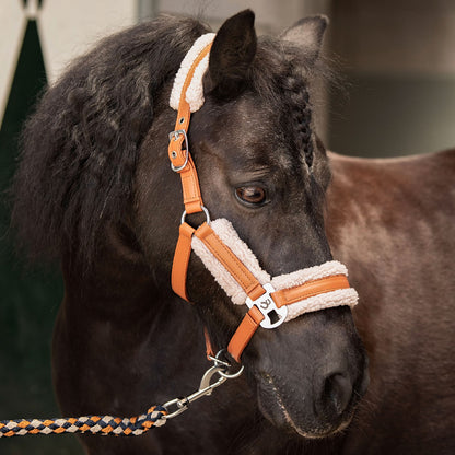 Harry's Horse Halfterset Soft STOUT! Maverick WS26