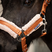 Harry's Horse Halfterset Soft STOUT! Maverick WS26