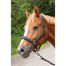 Dark Olive Green Halfterset Denici Cavalli Shadow