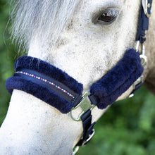 Harry's Horse Halfterset Denici Cavalli Purple Passion Crystal SS26
