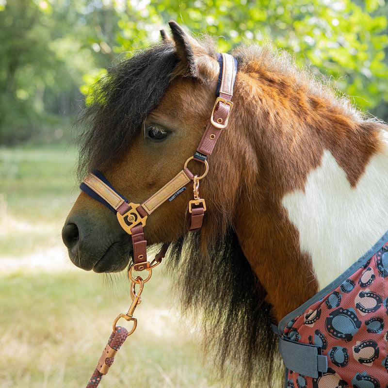 Harry's Horse Halfterset Diva Mauvewood
