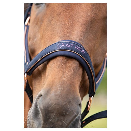 Rosy Brown Harry's Horse Halfterset Just Ride NightSky