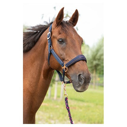 Dim Gray Harry's Horse Halfterset Just Ride NightSky