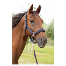 Harry's Horse Halfterset Just Ride NightSky