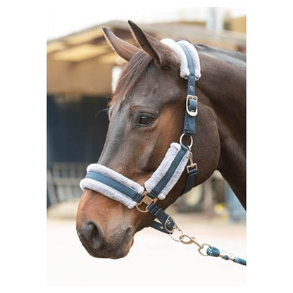 Harry's Horse Halfterset Just Ride Retro Soft