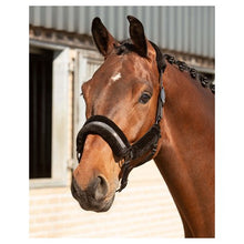 Harry's Horse Halfterset Denici Cavalli Stardust Soft - Kaster Cheval