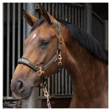 Harry's Horse Halfterset Just Ride Summer Chique SS26