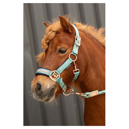 Dark Olive Green Harry's Horse Halfterset Samara
