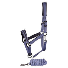 Dim Gray Harry's Horse Halfterset Samara