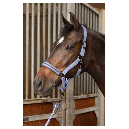 Dark Olive Green Harry's Horse Halfterset Samara