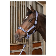 Dark Olive Green Harry's Horse Halfterset Samara