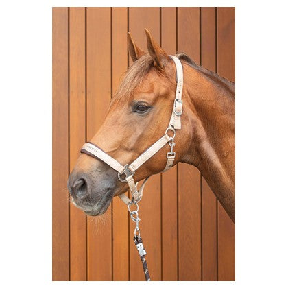 Harry's Horse Halfterset Satin Eli W25