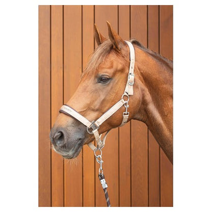 Harry's Horse Halfterset Satin Eli W25