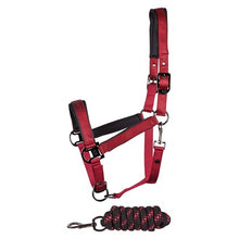 Harry's Horse Halfterset Satin Eli W25