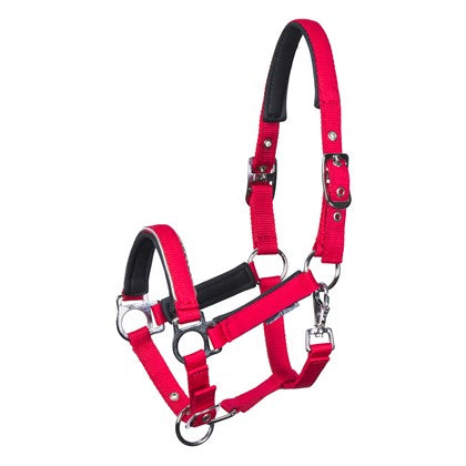 Harry's Horse Fohlenhalfter Metal - Kaster Cheval