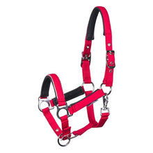 Harry's Horse Fohlenhalfter Metal - Kaster Cheval