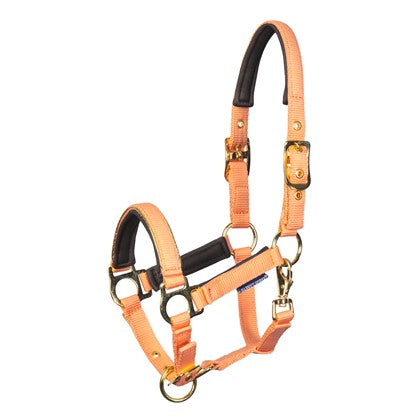 Harry's Horse Fohlenhalfter Metal - Kaster Cheval