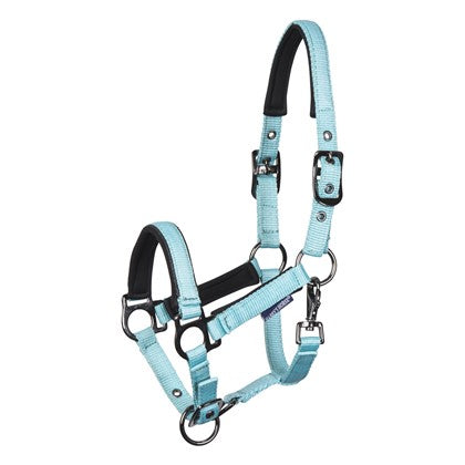 Harry's Horse Fohlenhalfter Metal - Kaster Cheval
