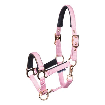 Harry's Horse Fohlenhalfter Metal - Kaster Cheval