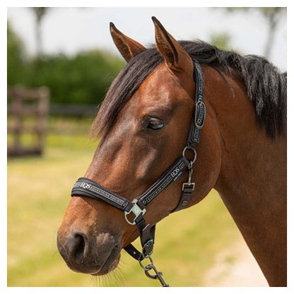 Harry's Horse Halfterset Equestrian Society - Kaster Cheval