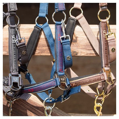 Harry's Horse Halfterset Equestrian Society - Kaster Cheval