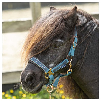Harry's Horse Halfterset Crystal