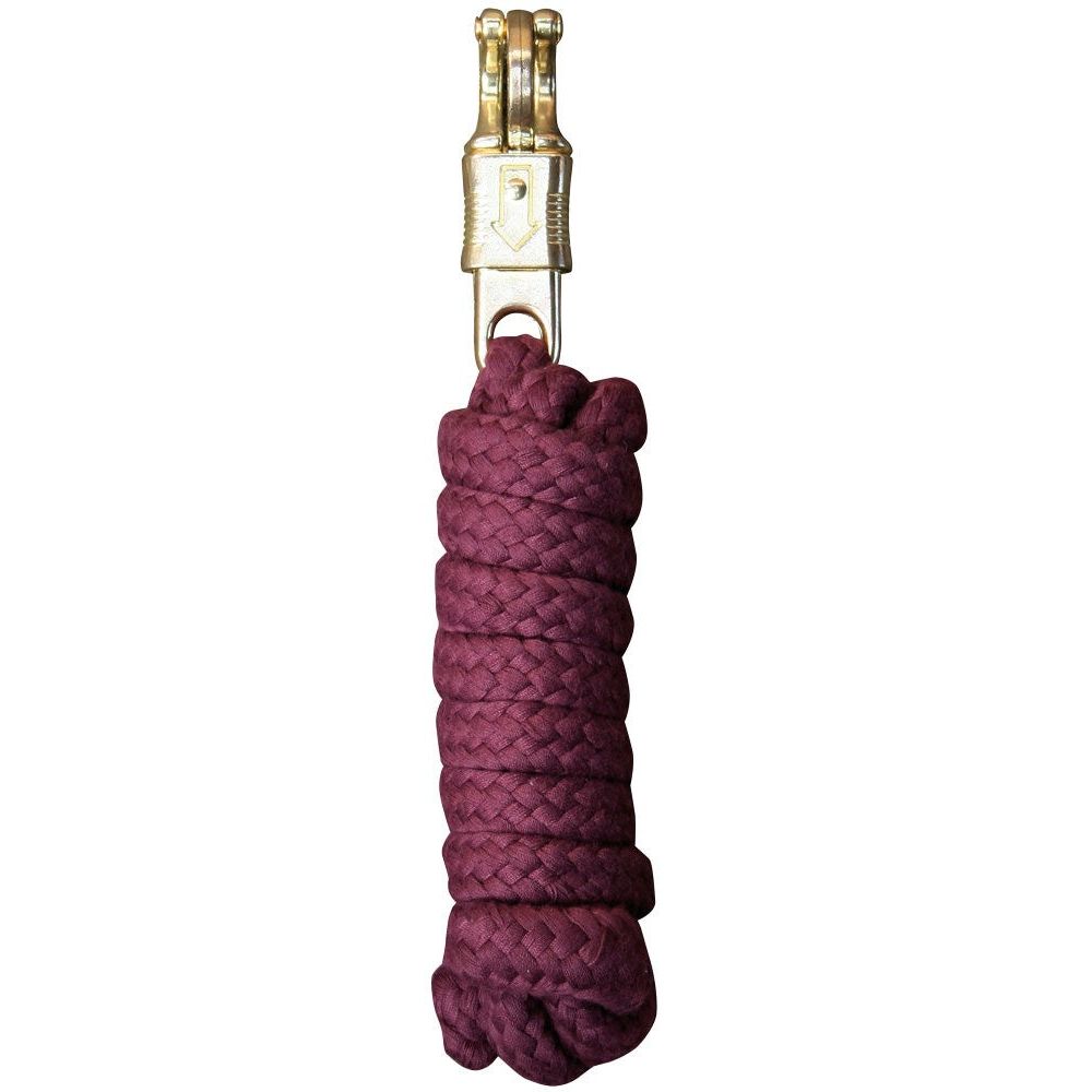 Dark Slate Gray Führstrick Panikhaken Gold 2m