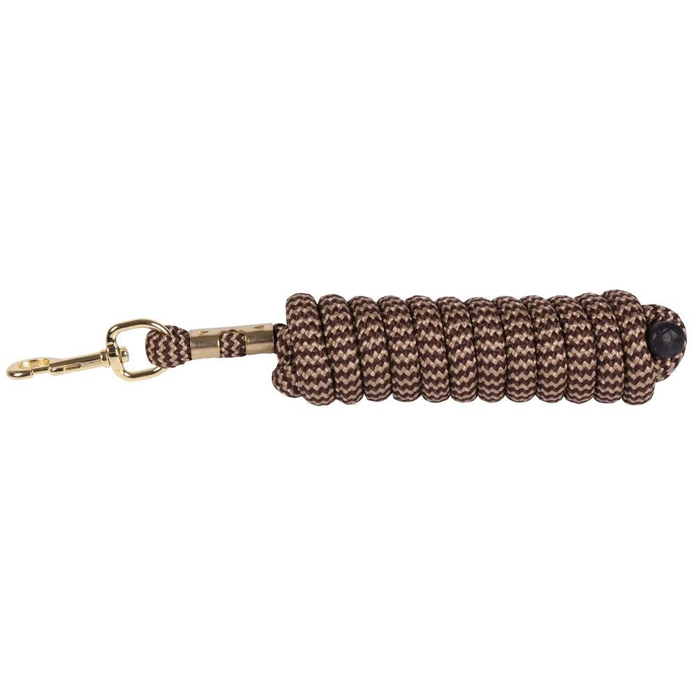Dark Slate Gray Führstrick Karabiner Gold 3m