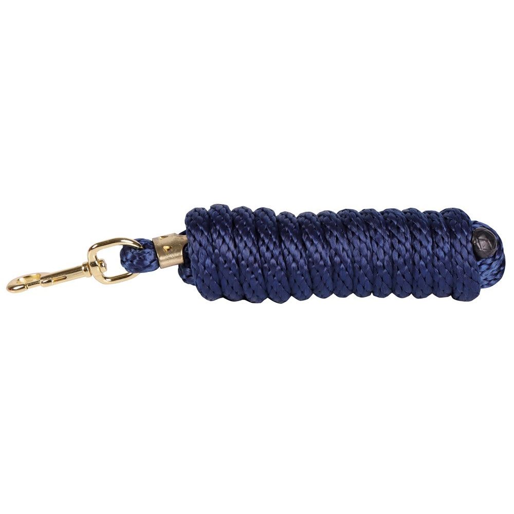 Dark Slate Gray Führstrick Karabiner Gold 3m