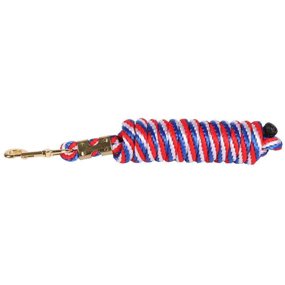 Dark Slate Blue Führstrick Karabiner Gold 3m